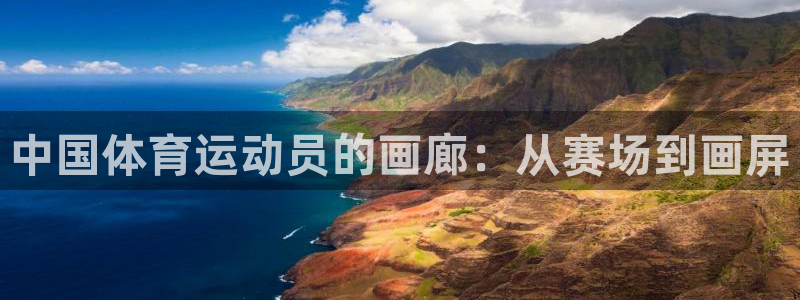 中国体育运动员的画廊：从赛场到画屏