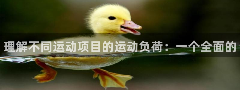 理解不同运动项目的运动负荷：一个全面的