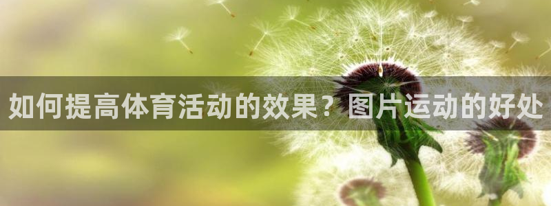 如何提高体育活动的效果？图片运动的好处