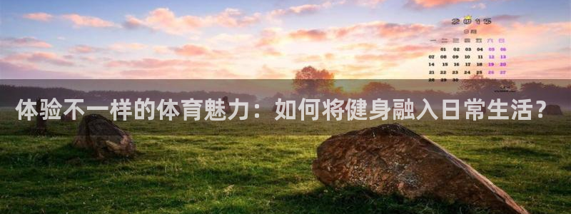 体验不一样的体育魅力：如何将健身融入日常生活？