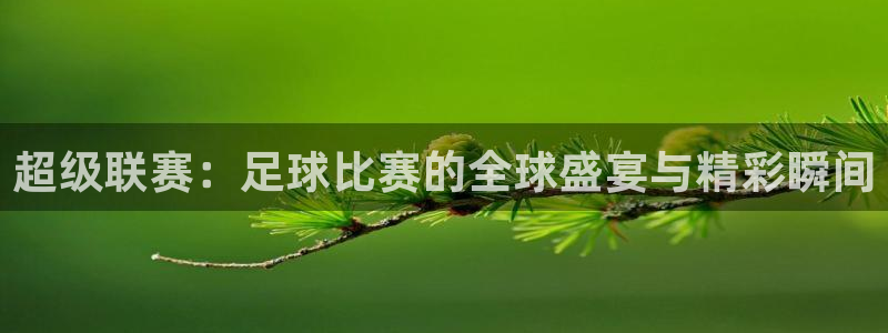 超级联赛：足球比赛的全球盛宴与精彩瞬间