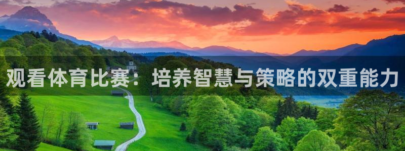 观看体育比赛：培养智慧与策略的双重能力